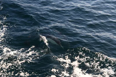 DSC_6633 (Large).JPG